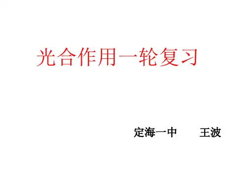 光合作用一轮复习