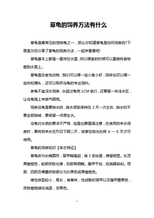 草龟的饲养方法有什么