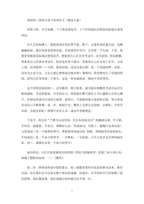 我的初三要努力奋斗优秀作文(最新)