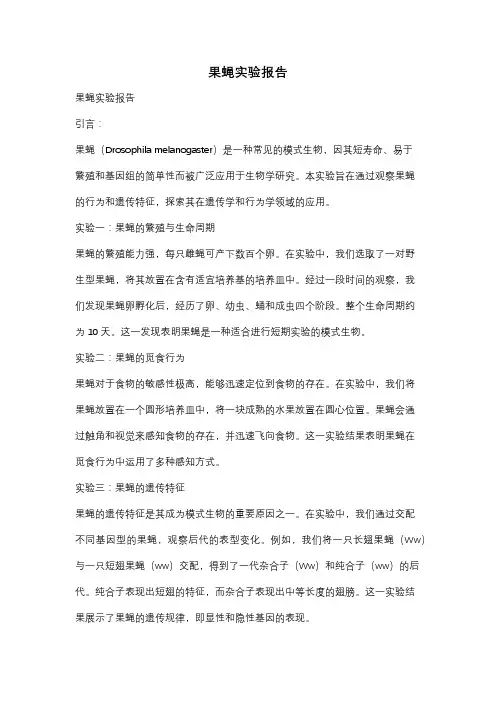 果蝇实验报告