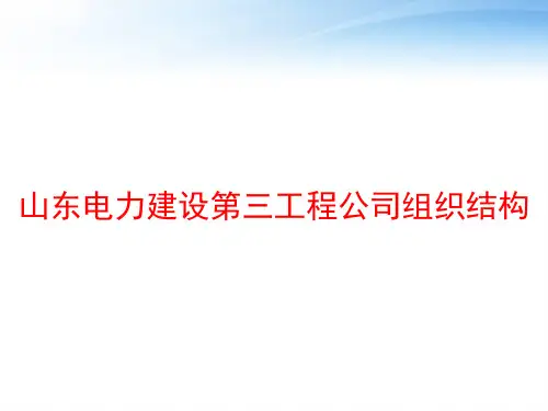 山东电力建设第三工程公司组织结构 ppt课件