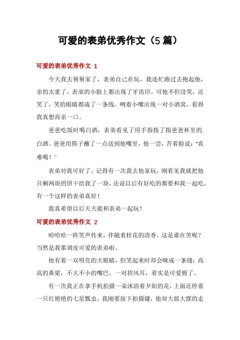 可爱的表弟优秀作文(5篇)