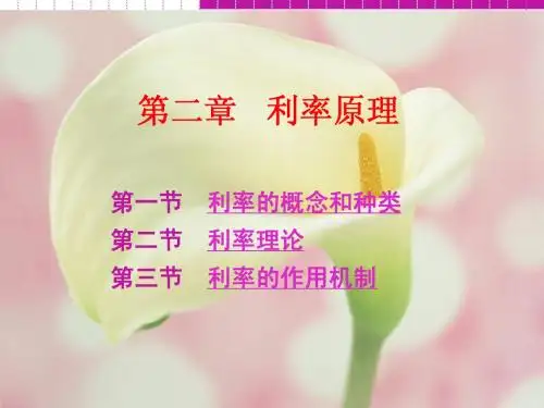 货币银行学第二章 利率原理