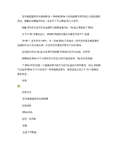 变性梯度凝胶电泳.
