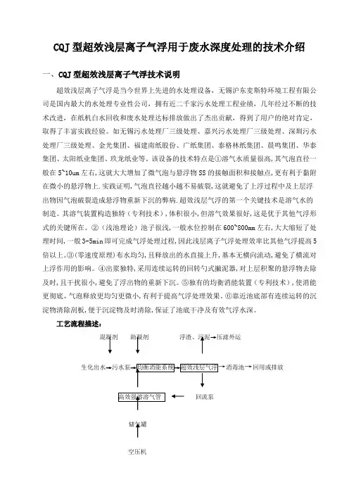 型超效浅层离子气浮用于废水深度处理的技术介绍