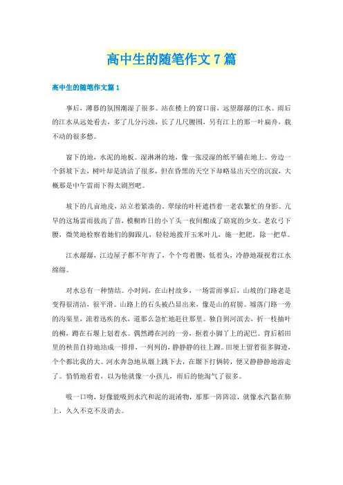 高中生的随笔作文7篇