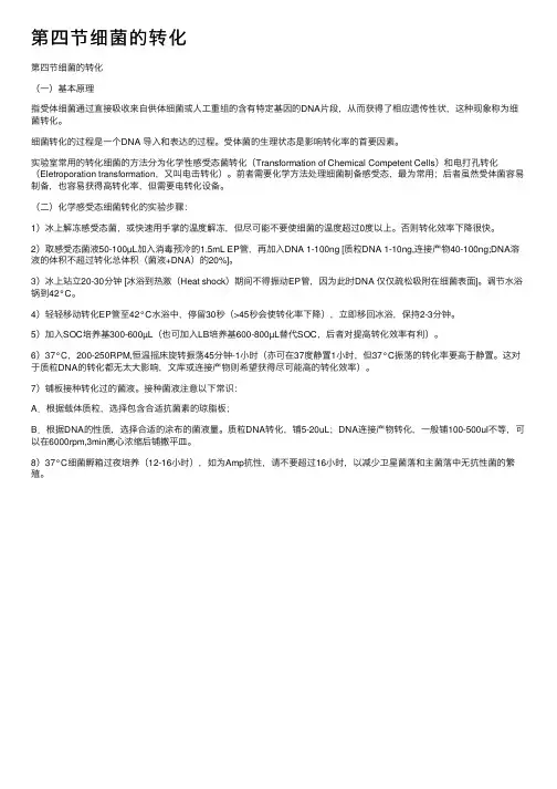 第四节细菌的转化