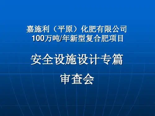 安全设施设计专篇审查会报告