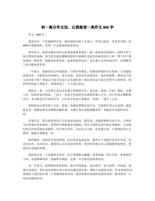 初一高分作文这,让我眼前一亮作文600字