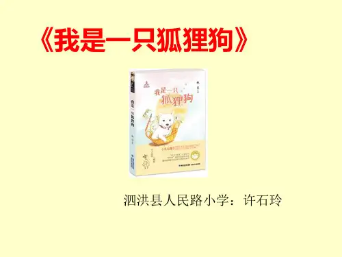 《我是一只狐狸狗》时精品PPT课件