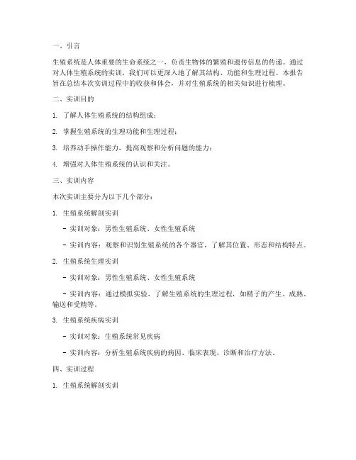 生殖系统的实训报告人体
