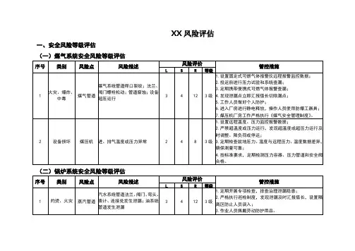 风险评估报告