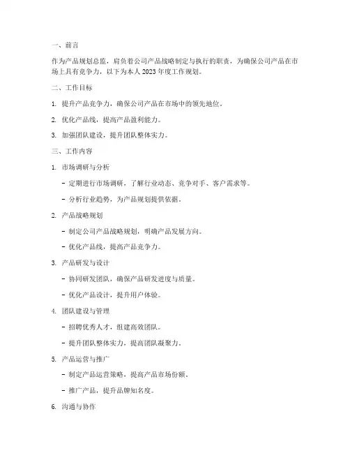 产品规划总监工作规划模板
