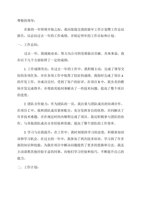 新年工作计划暨工作总结报告