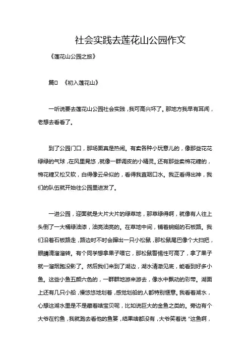 社会实践去莲花山公园作文