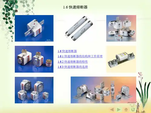 1.6--快速熔断器