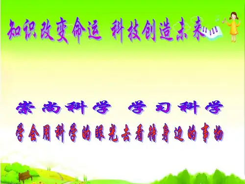 四年级下册科学课件-3.2 食物中的营养| 教科版(共24张PPT)