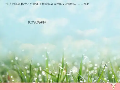 秋一年级科学上册第3课看一看课件2青岛版六三制1128535