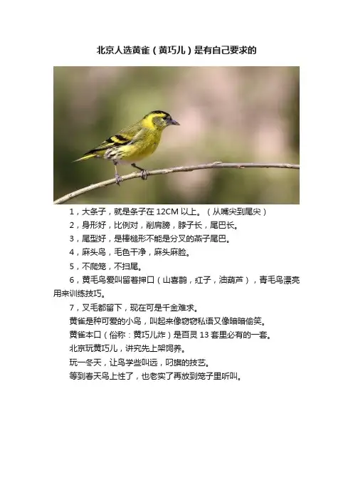 北京人选黄雀（黄巧儿）是有自己要求的
