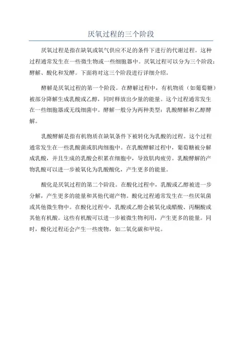 厌氧过程的三个阶段