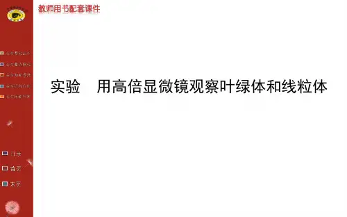 用高倍显微镜观察叶绿体和线粒体