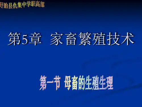 第5章  家畜繁殖技-第一节 母畜的生殖生理