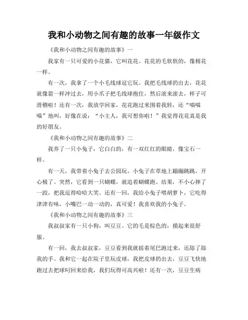我和小动物之间有趣的故事一年级作文