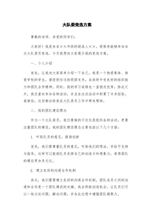 大队委竞选方案