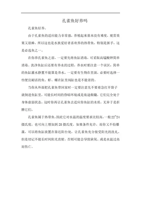 孔雀鱼好养吗