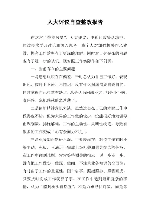 人大评议自查报告