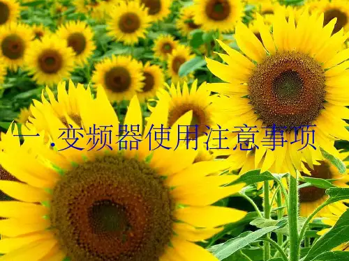《变频器应用》PPT课件