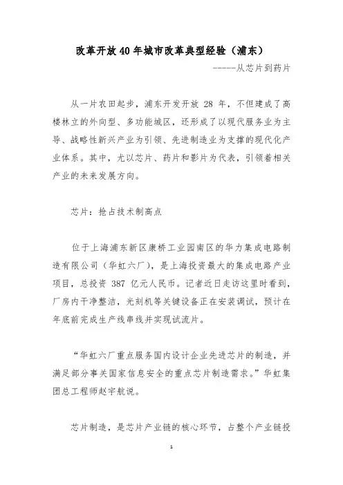 改革开放40年城市改革典型经验(浦东2)