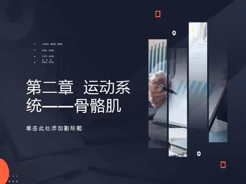 运动系统骨骼肌介绍