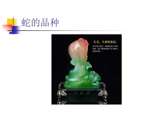 蛇的品种课件