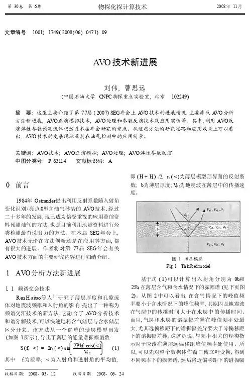 AVO技术新进展