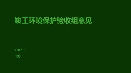 竣工环境保护验收组意见