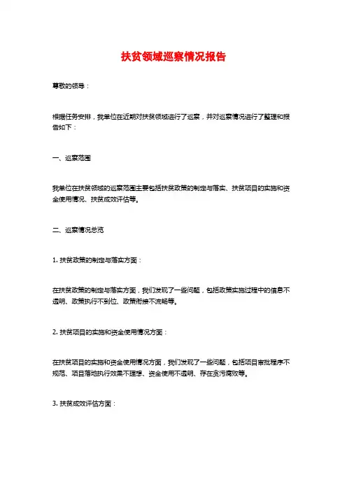 扶贫领域巡察情况报告