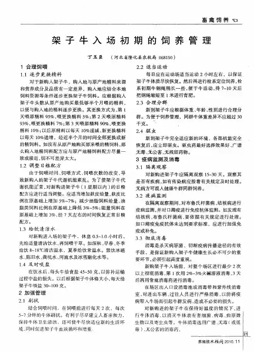 架子牛入场初期的饲养管理