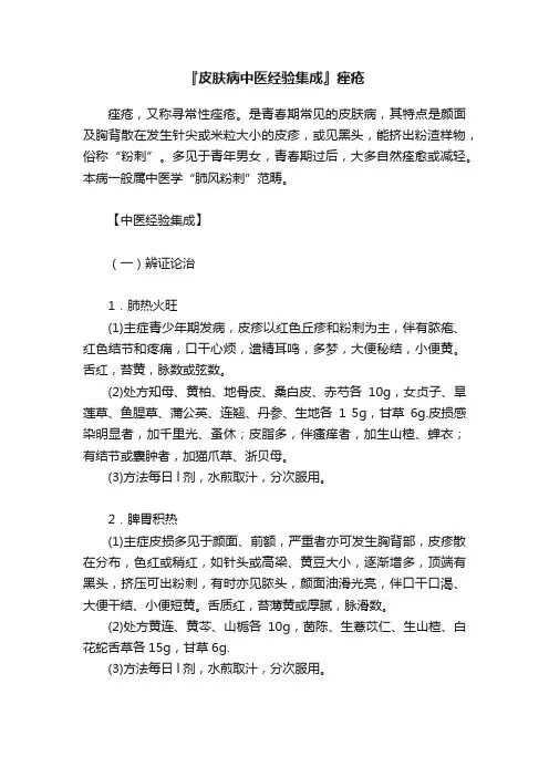 『皮肤病中医经验集成』痤疮