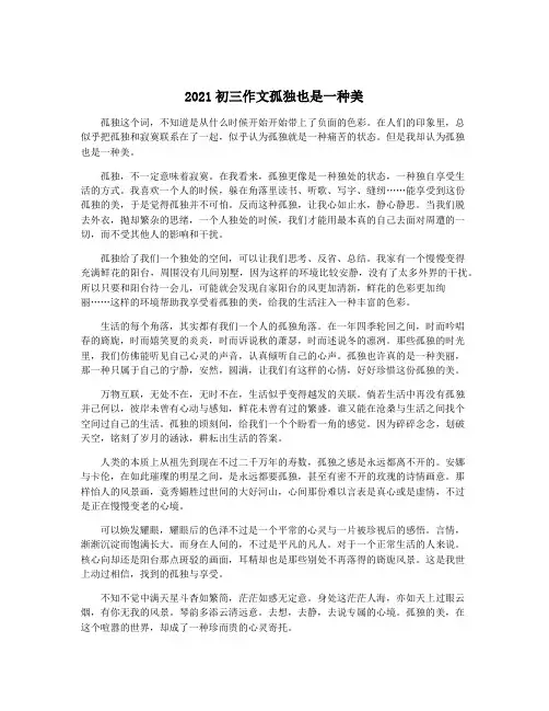 2021初三作文孤独也是一种美