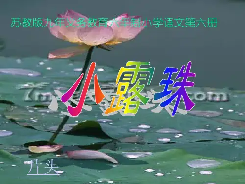 小露珠ppt教材课件