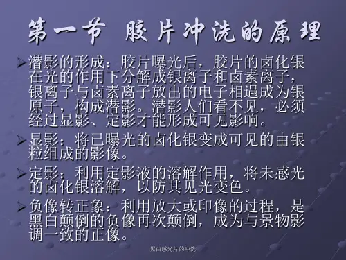 黑白感光片的冲洗课件