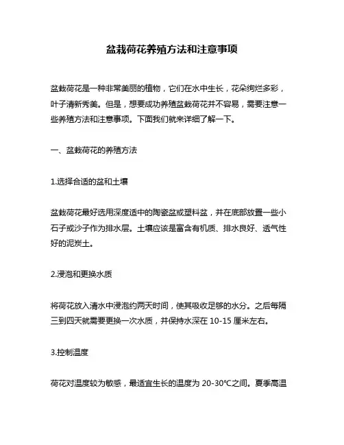 盆栽荷花养殖方法和注意事项