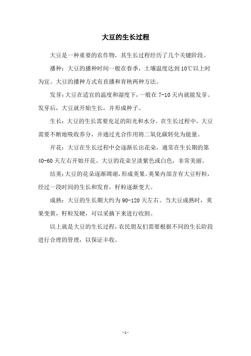 大豆的生长过程