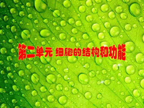 【步步高】高考生物一轮复习 第二单元 第5讲 细胞膜与细胞核课件 苏教版