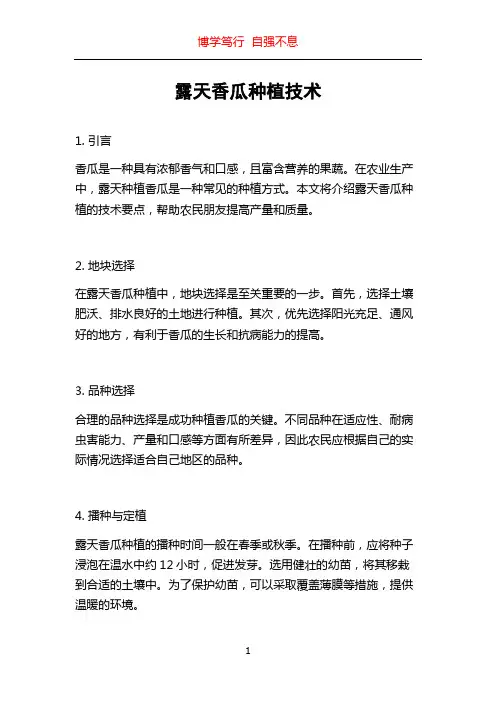 露天香瓜种植技术