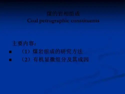 chap4_煤的组成-岩石组成