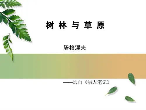 屠格涅夫  树林与草原