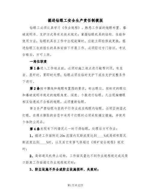 掘进钻眼工安全生产责任制模版(3篇)