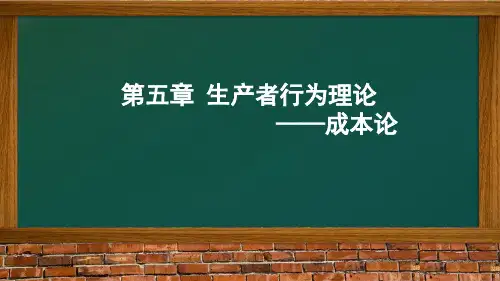 生产者行为理论课件(PPT 32页)